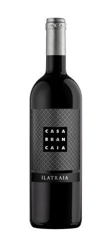 BRANCAIA - Ilatraia - 2015