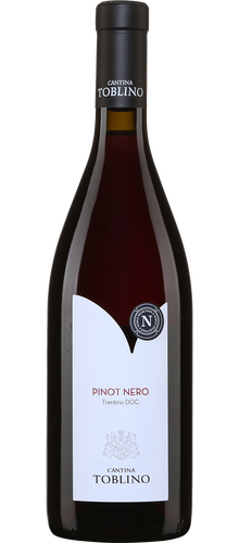 Pinot Nero Trentin 2022
