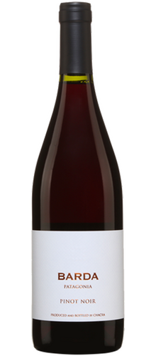 Pinot noir Barda 2021