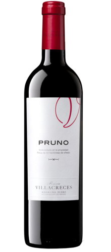 Pruno 2021