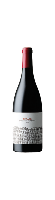 Pegaso Pizarra 2010