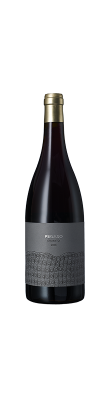 Pegaso Granito 2008