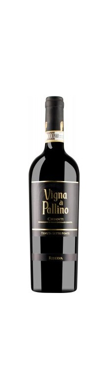Chianti Riserva Vigna di Pallino 2013