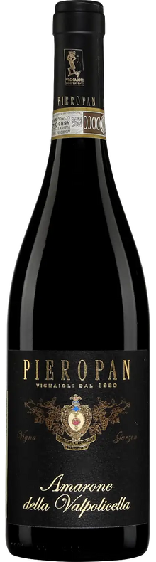 Vigna Garzon Amarone della Valpolicella 2016 2016