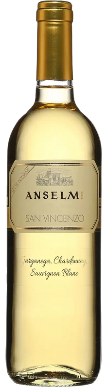 San Vincenzo 2024