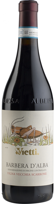 Barbera d'Alba Scarrone Vigna Vecchia 2022