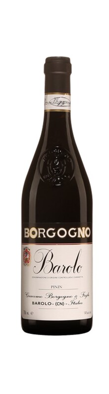 Barolo Pinin 2006