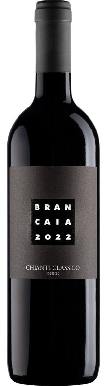 Chianti Classico  2022