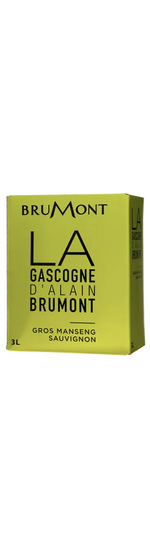 La Gascogne d'Alain brumont 3 L 