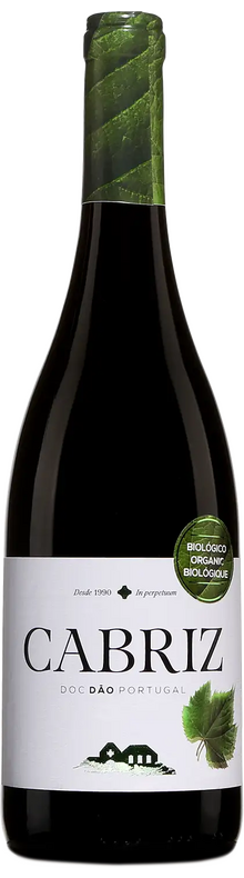 Organic D&atilde;o 2019