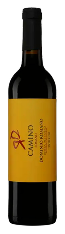 Camino Romano, Ribera del Duero 2022