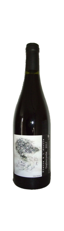 Capharna&uuml;m 2017