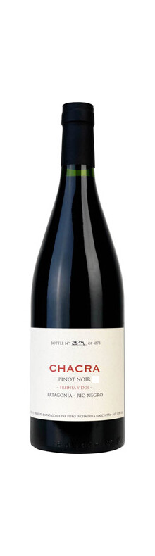 Treinta y Dos Pinot Noir 2011