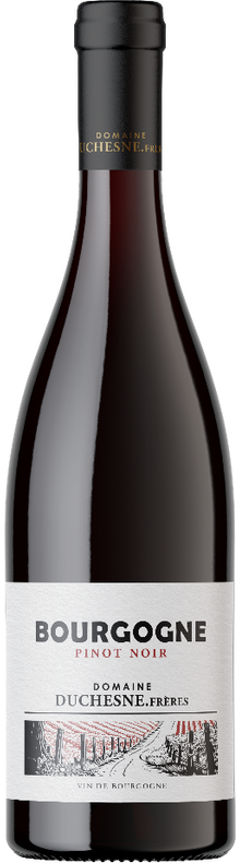 Bourgogne Pinot Noir 2023