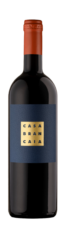 Il Blu 2008