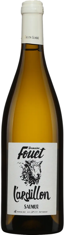 Saumur l'Ardillon 2019