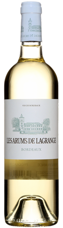 Les Arums de Lagrange 2018