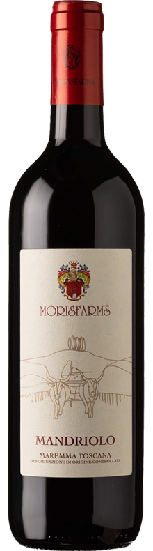 Mandriolo Costa Toscana Rosso 2023