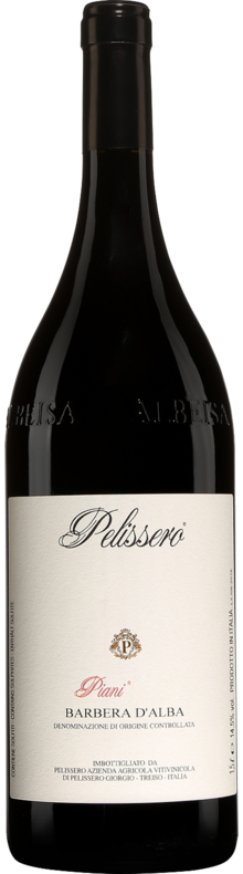 Barbera d'Alba Piani 2013