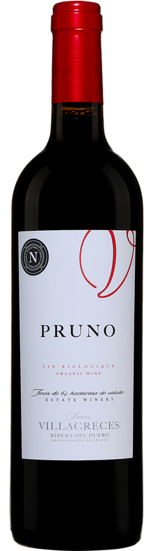 Pruno 2016