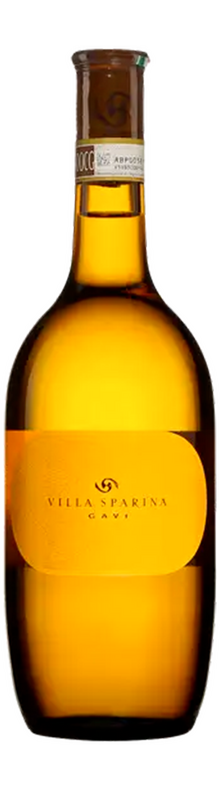 Gavi del Comune di Gavi 2024