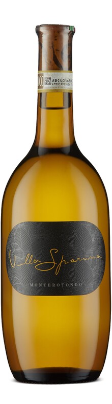 Monterotondo Gavi 2022